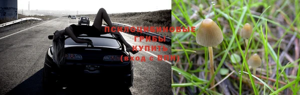 крисы Балабаново