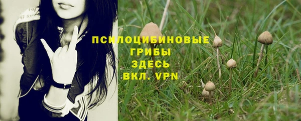 твердый Балахна