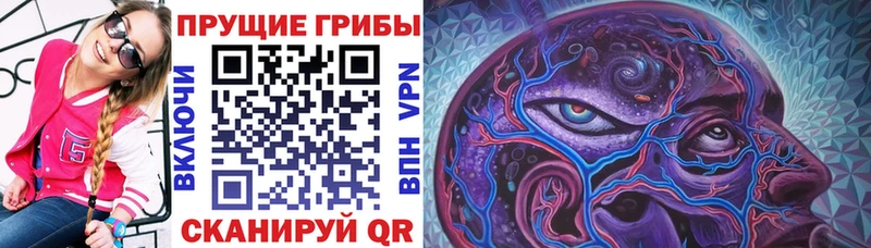 Галлюциногенные грибы GOLDEN TEACHER  где продают наркотики  Заинск 